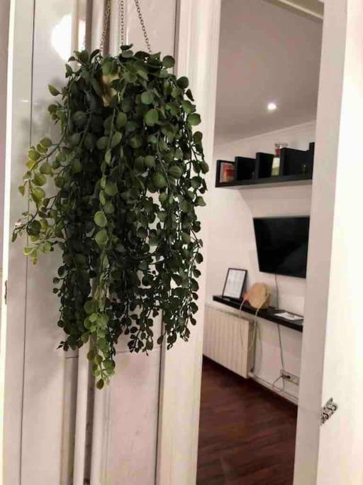 Apartamento Plaza Espana - Comodo Y Luminoso Con Balcon Y Wifi