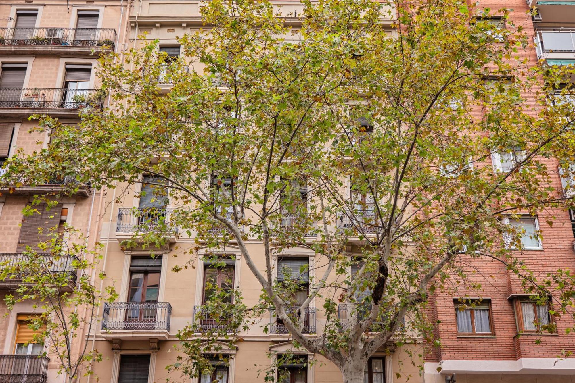Sweett - Urgell Eixample * Barcelona
