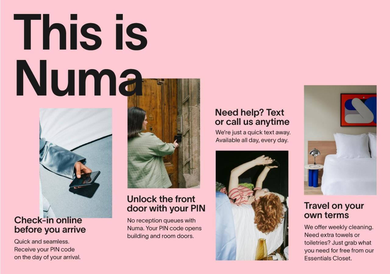 Numa Colmena