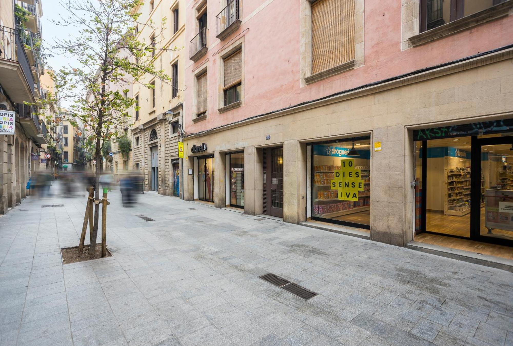 Palau De La Musica 1 * Barcelona