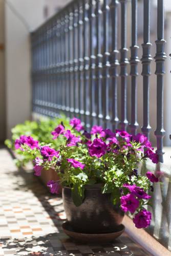 Apartamento Sibsbcn- Rambla- Family Friends Business *
