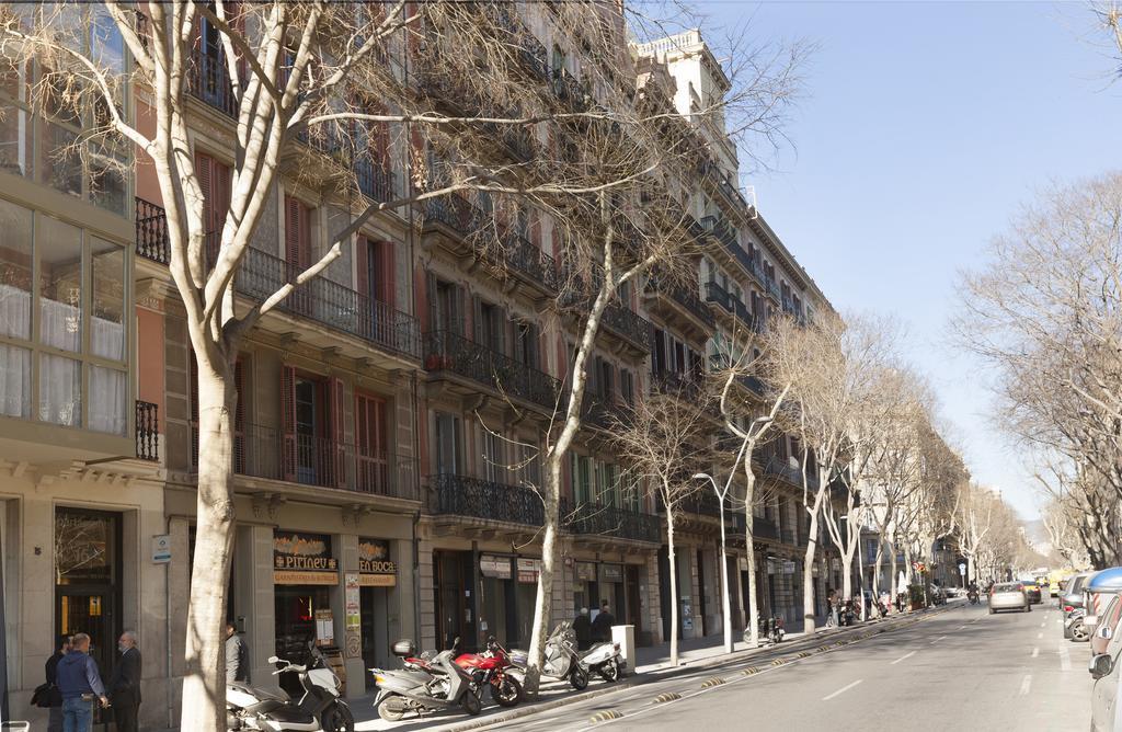 Sealona Center Barcelona