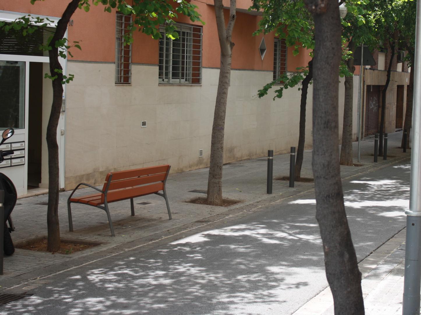 Alguera Sant Andreu * Barcelona