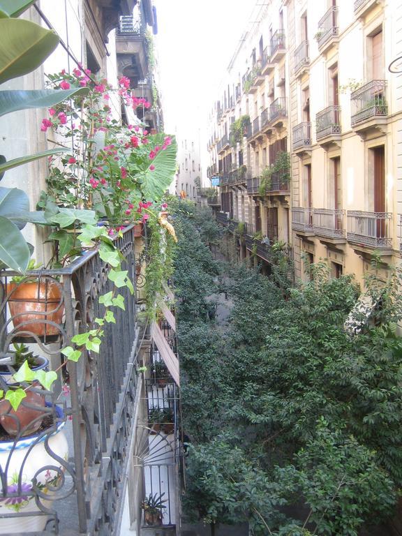 Alamar Barcelona