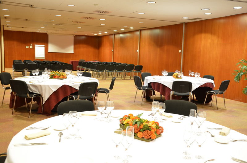 Hotel Acevi Villarroel 4*