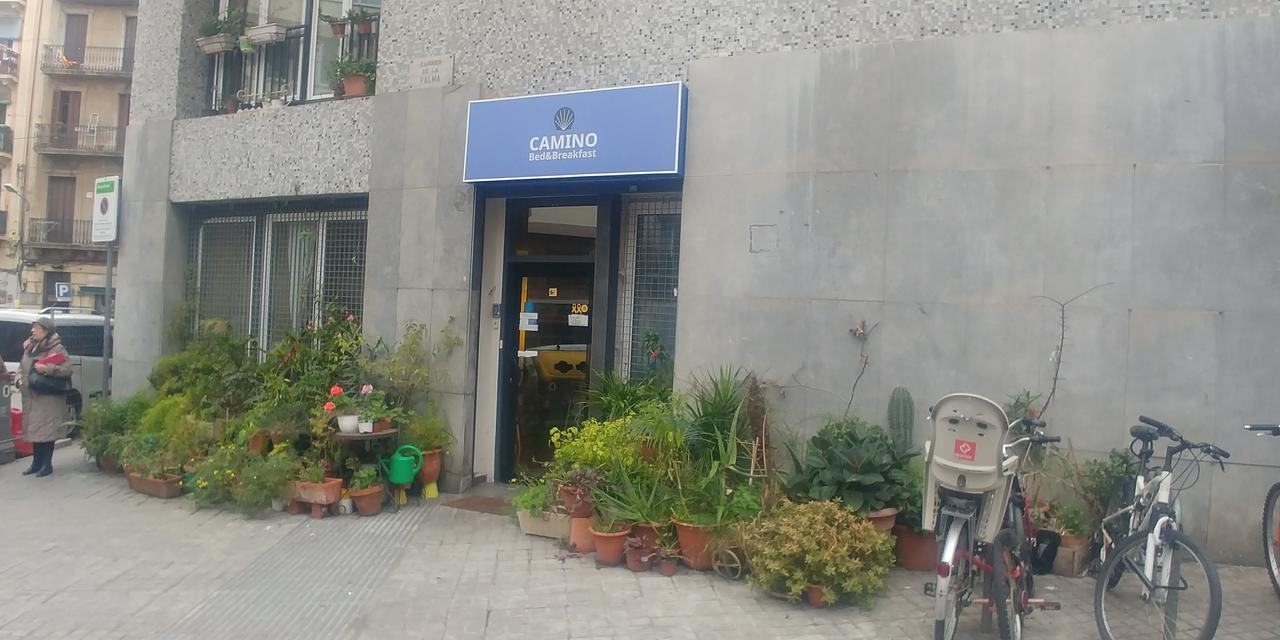 Hostel Camino