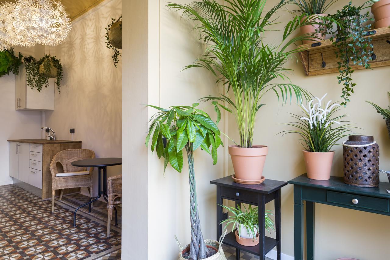 Casa Maca (adults Only)