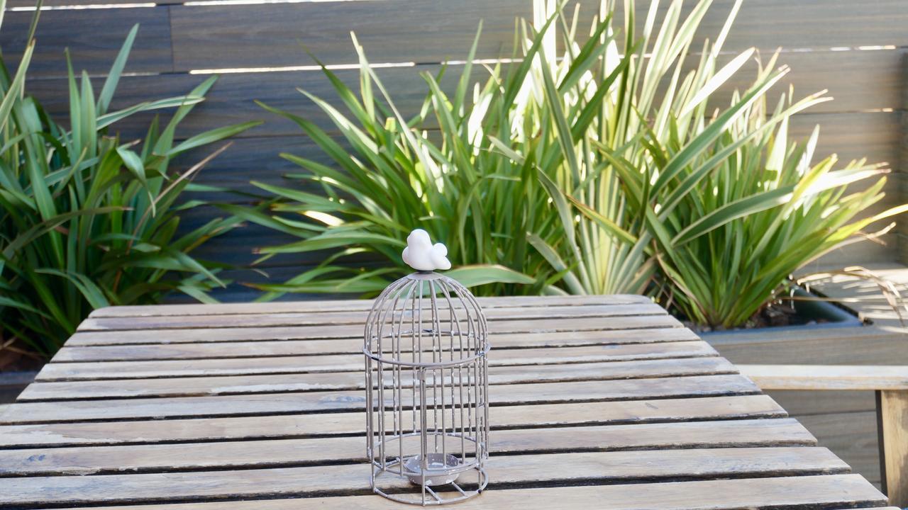 Hostal Bird House Barcelona