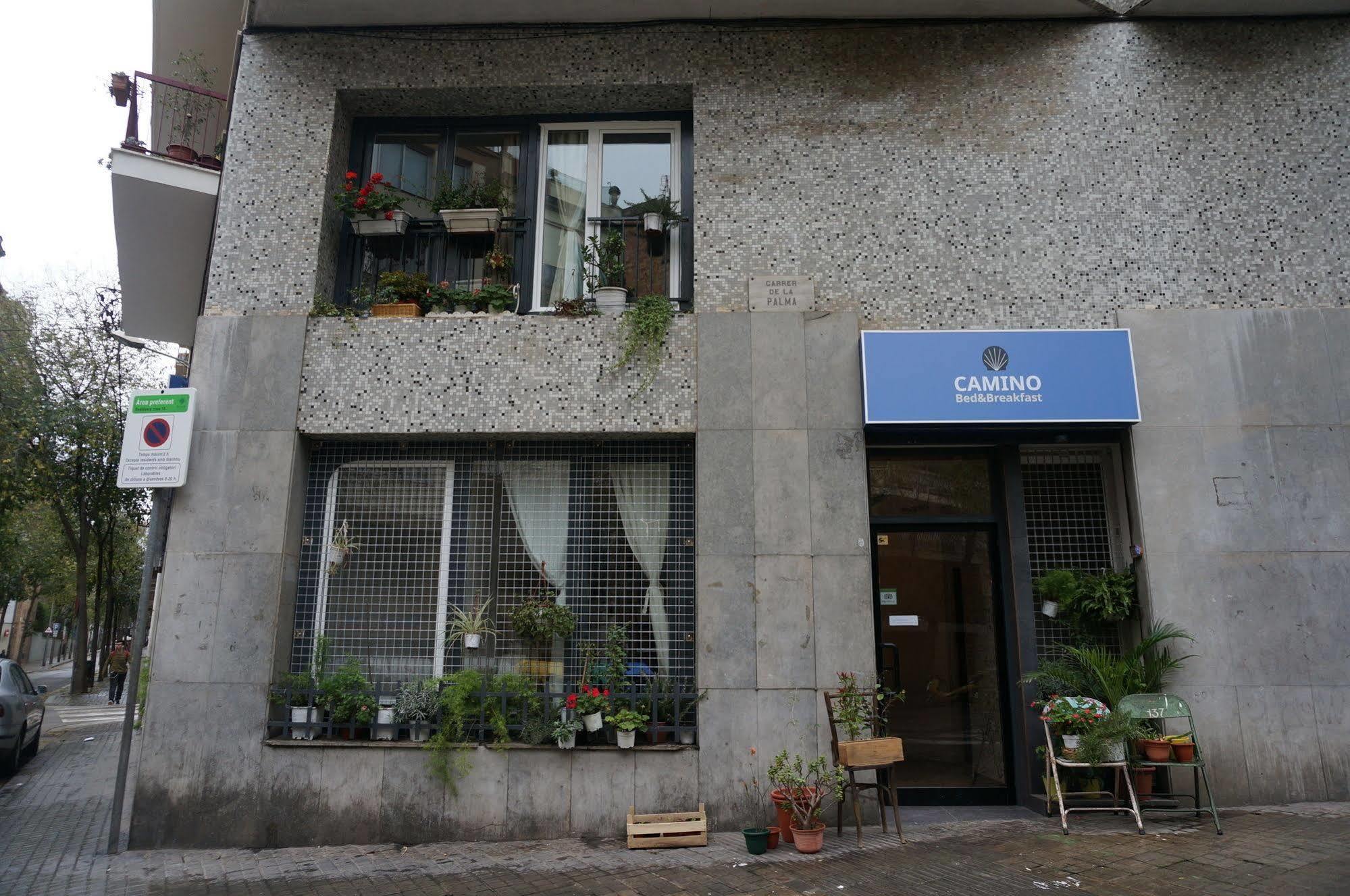 Camino Hostel *