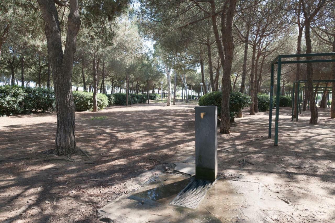 Apartment Basic Platja