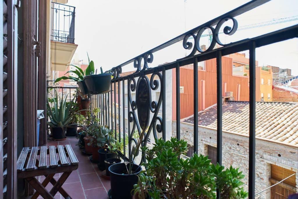 My In * Barcelona
