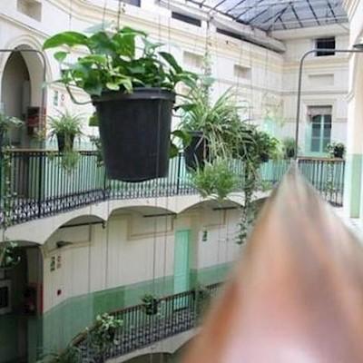 Peninsular Hotel *