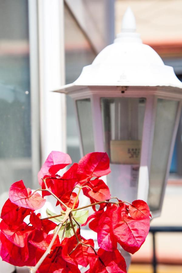 Apartamento Estudio Maignon *