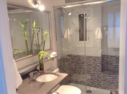 La Mejor Zona De Apartamento *