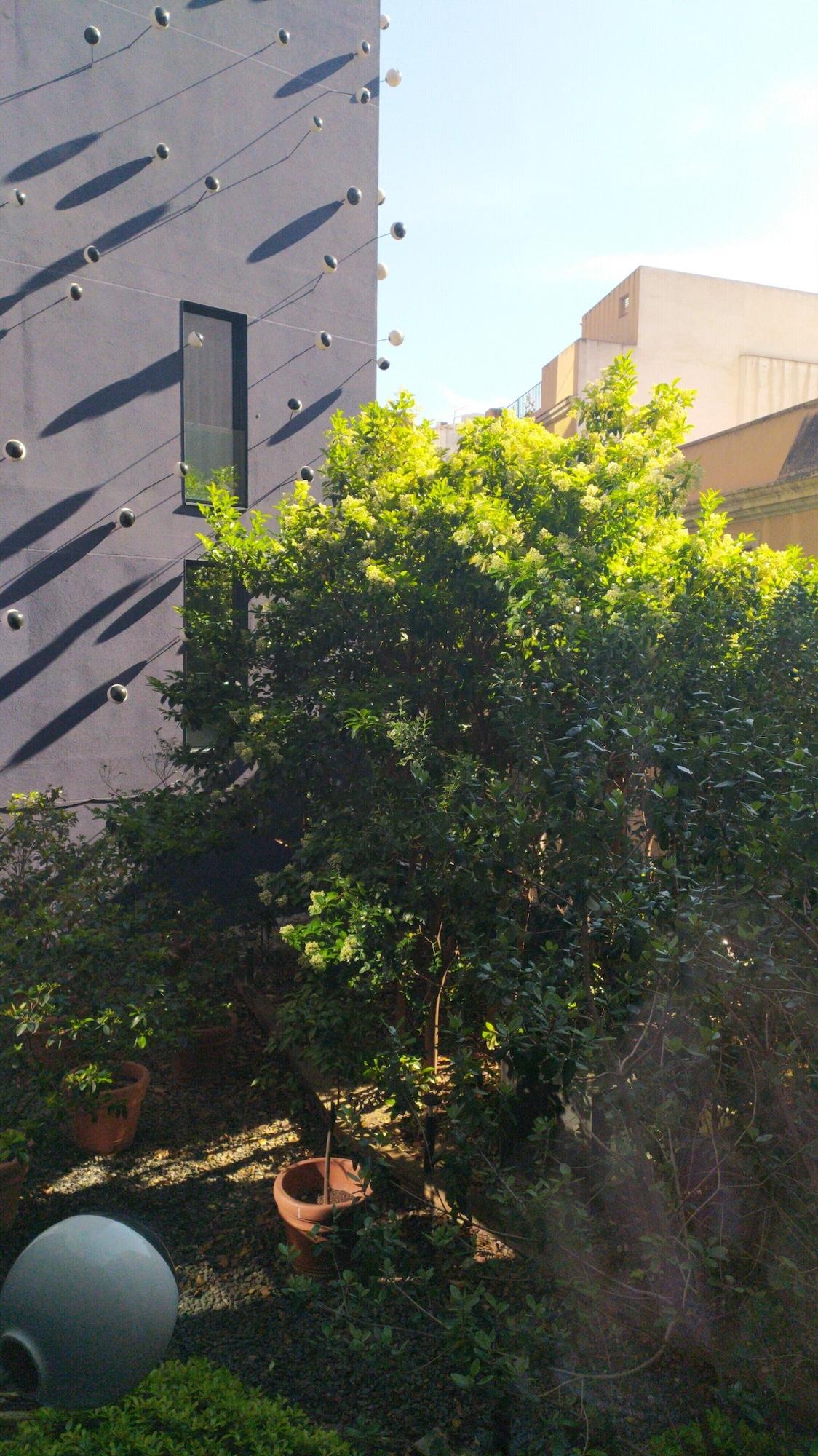 Ohla Hotel 5*