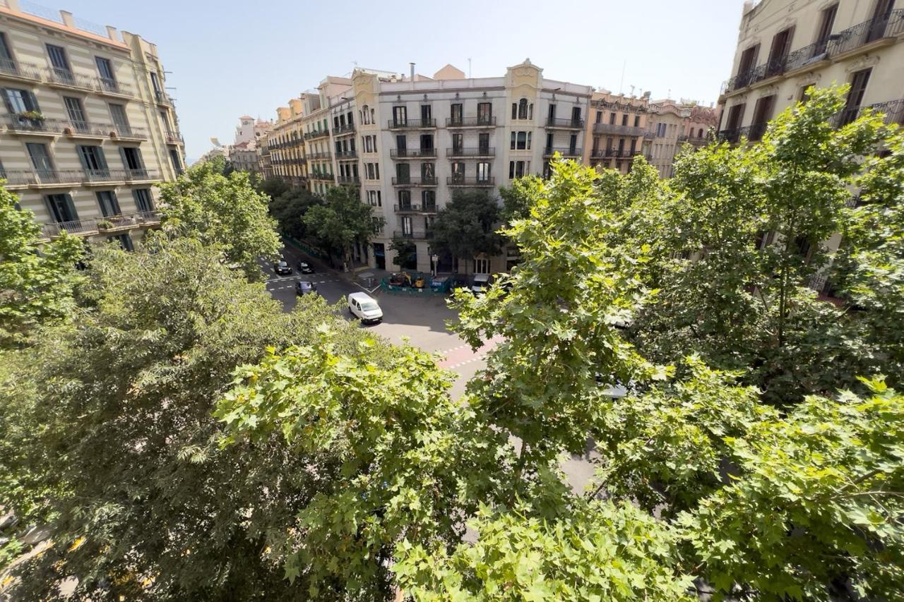 Coimpact Coliving Mallorca Hostal