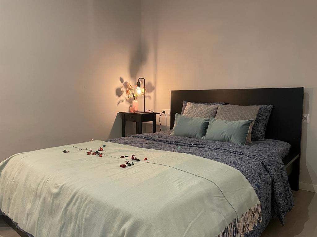 By Plaza Universidad Hostal Barcelona