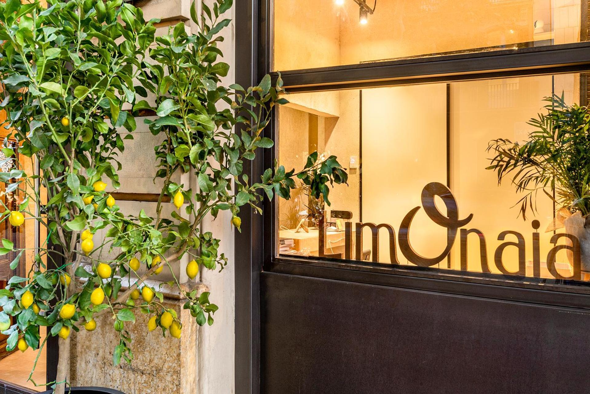 Hotel Limonaia 3*