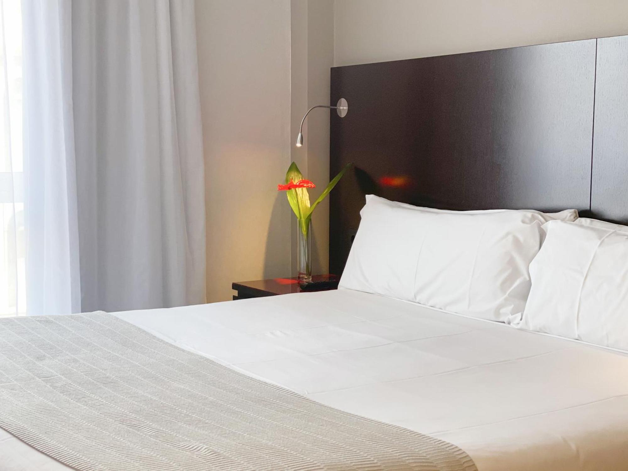 Hotel Sm Sant Antoni