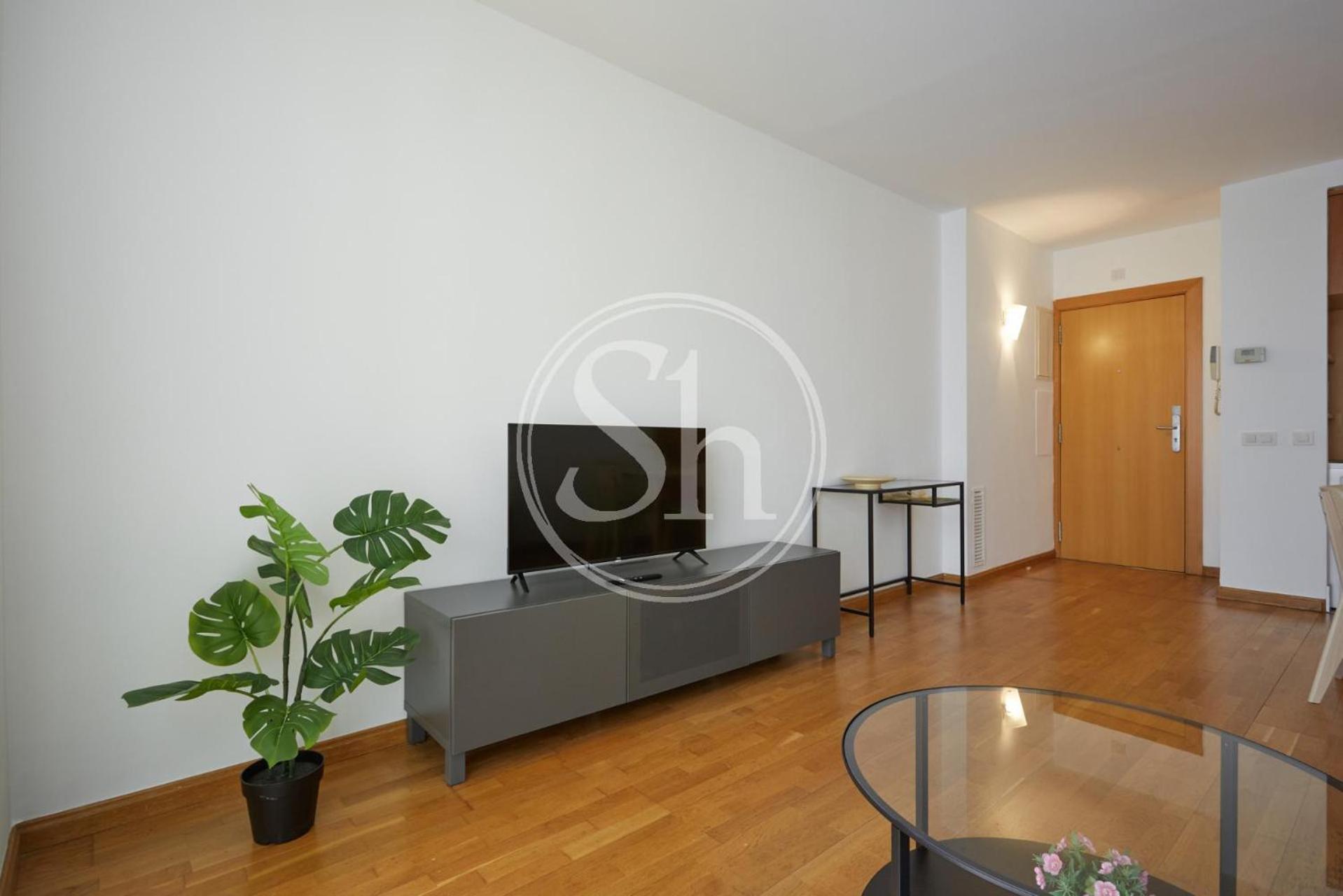 Apartamento Bonito Cerca De Estacion De Sants *