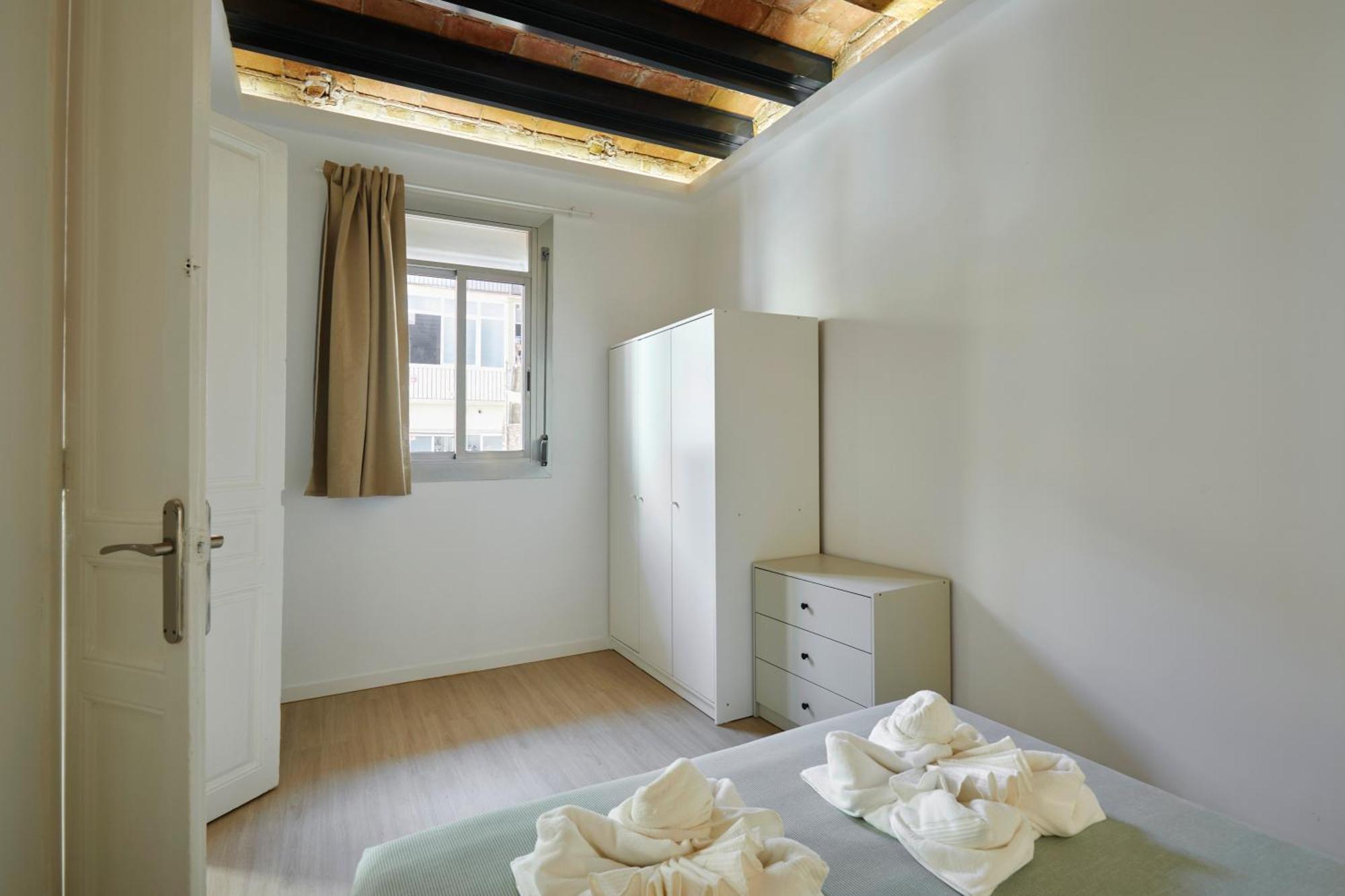 Stylish Typical Bcn Flat