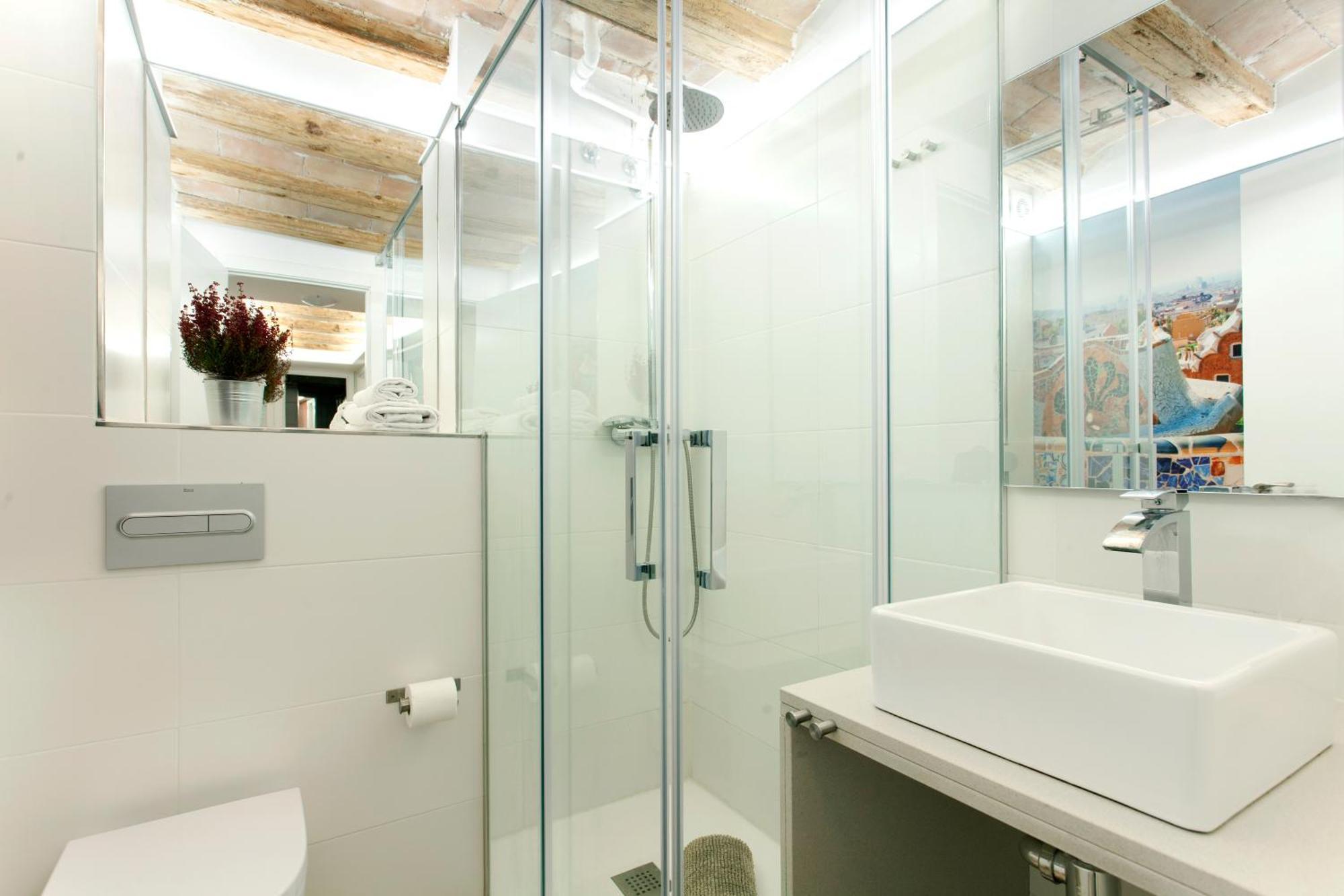 Classic Palau Apartamento *