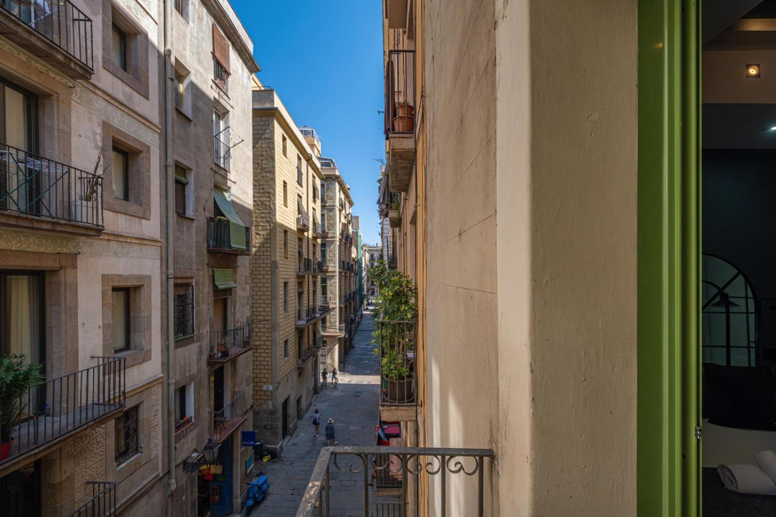 Ainb Born-dames Barcelona