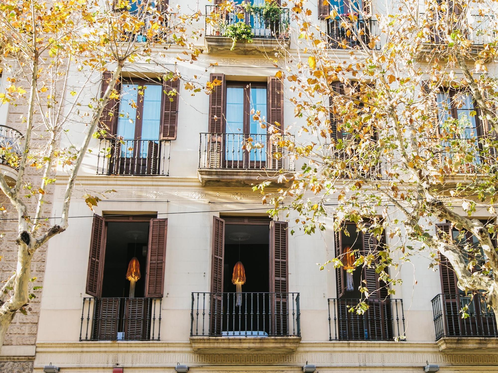 Zoorooms Boutique Guest house Barcelona