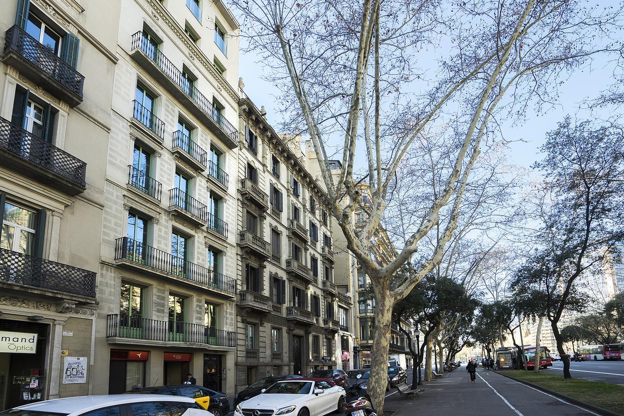 Friendly Palau * Barcelona