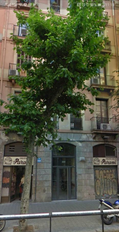 Dip2 * Barcelona