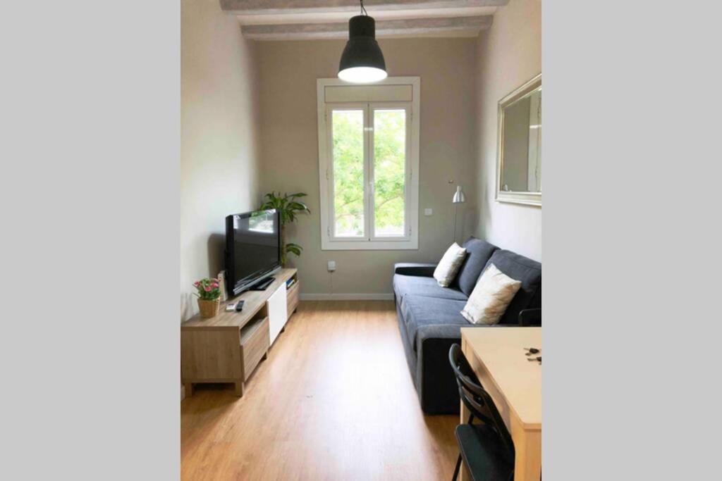 Apartment 2 Bedroom Sants *