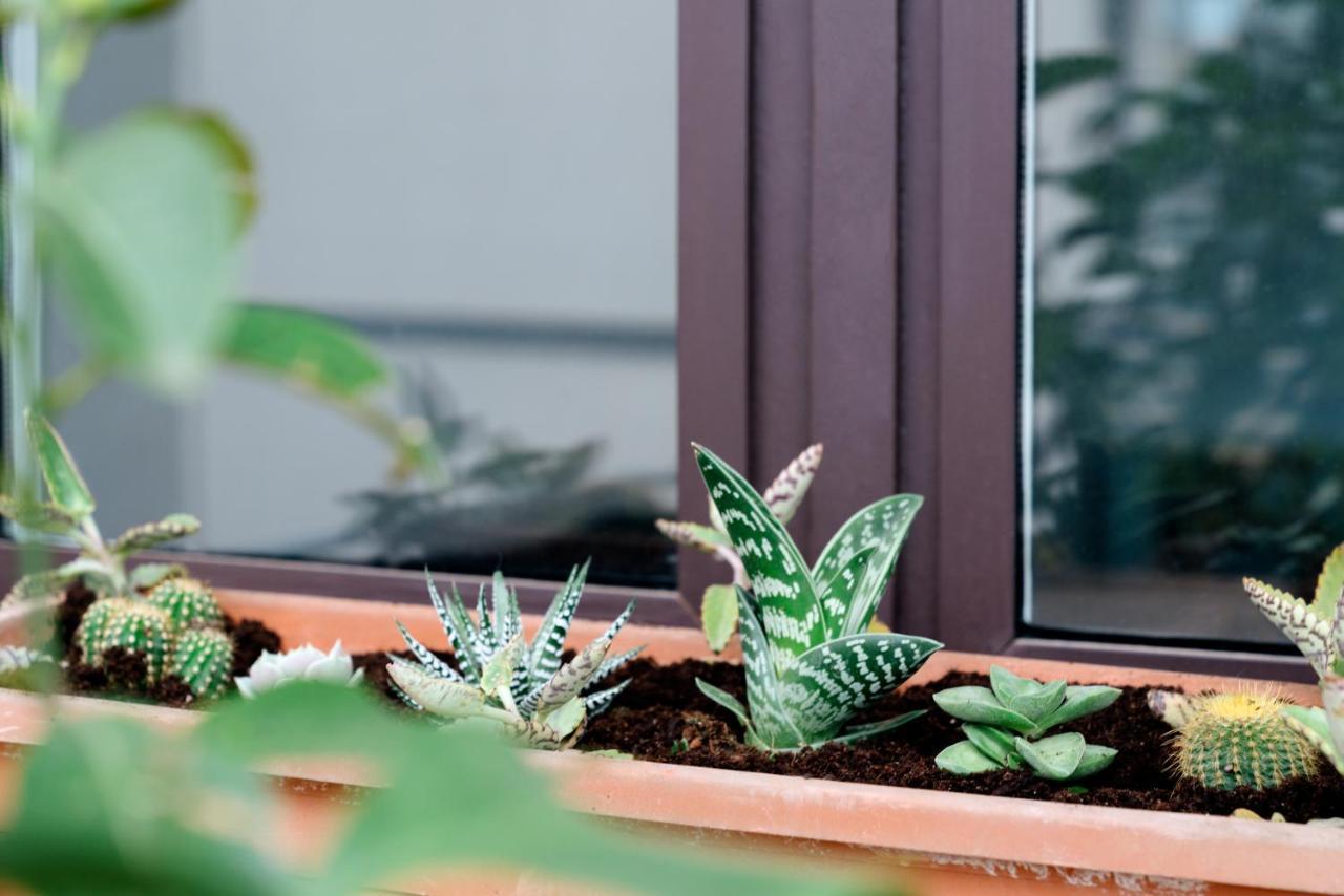 Apartamento Alma Azul Consell De Cent Barcelona