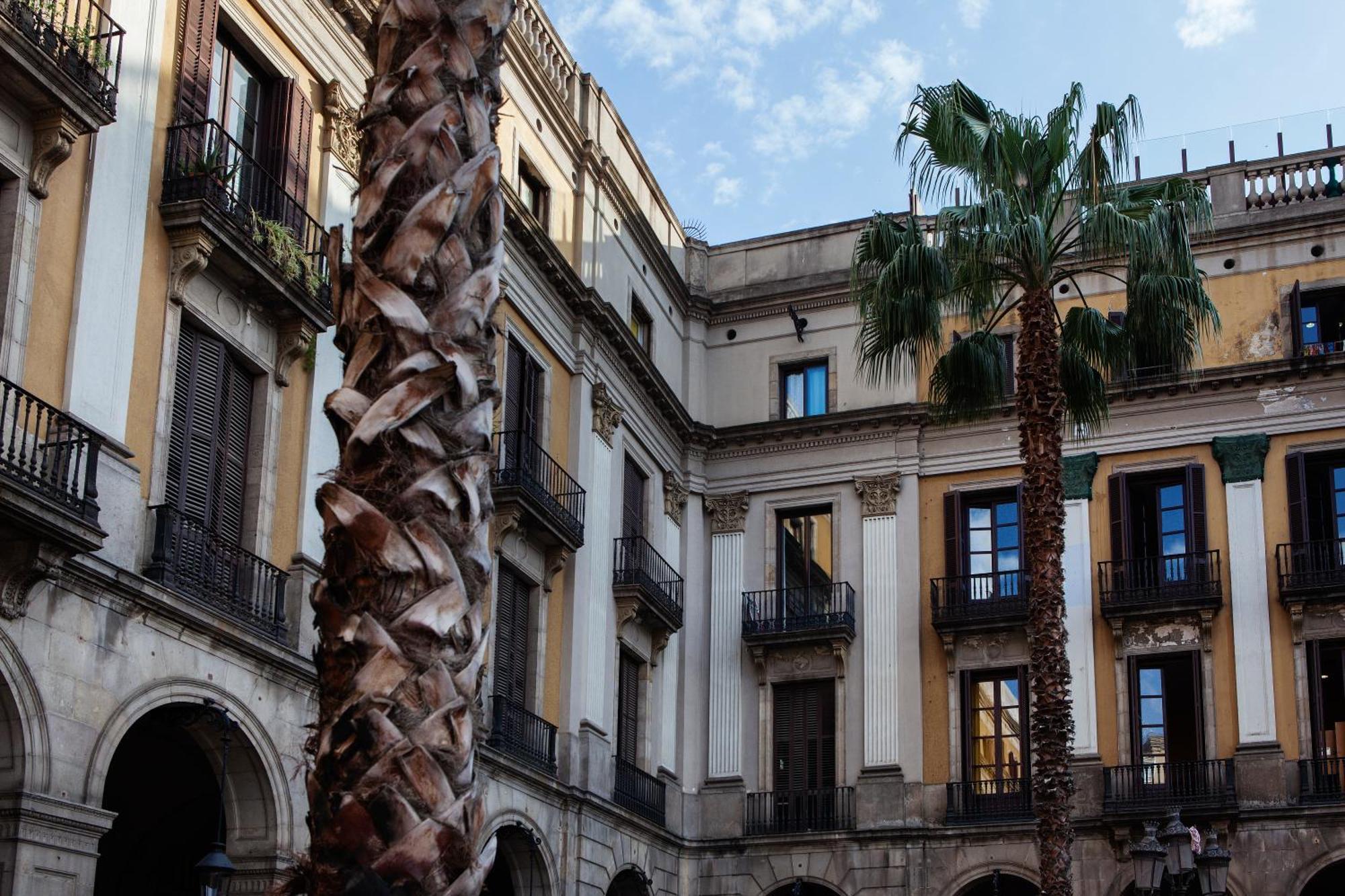 Ramblas *