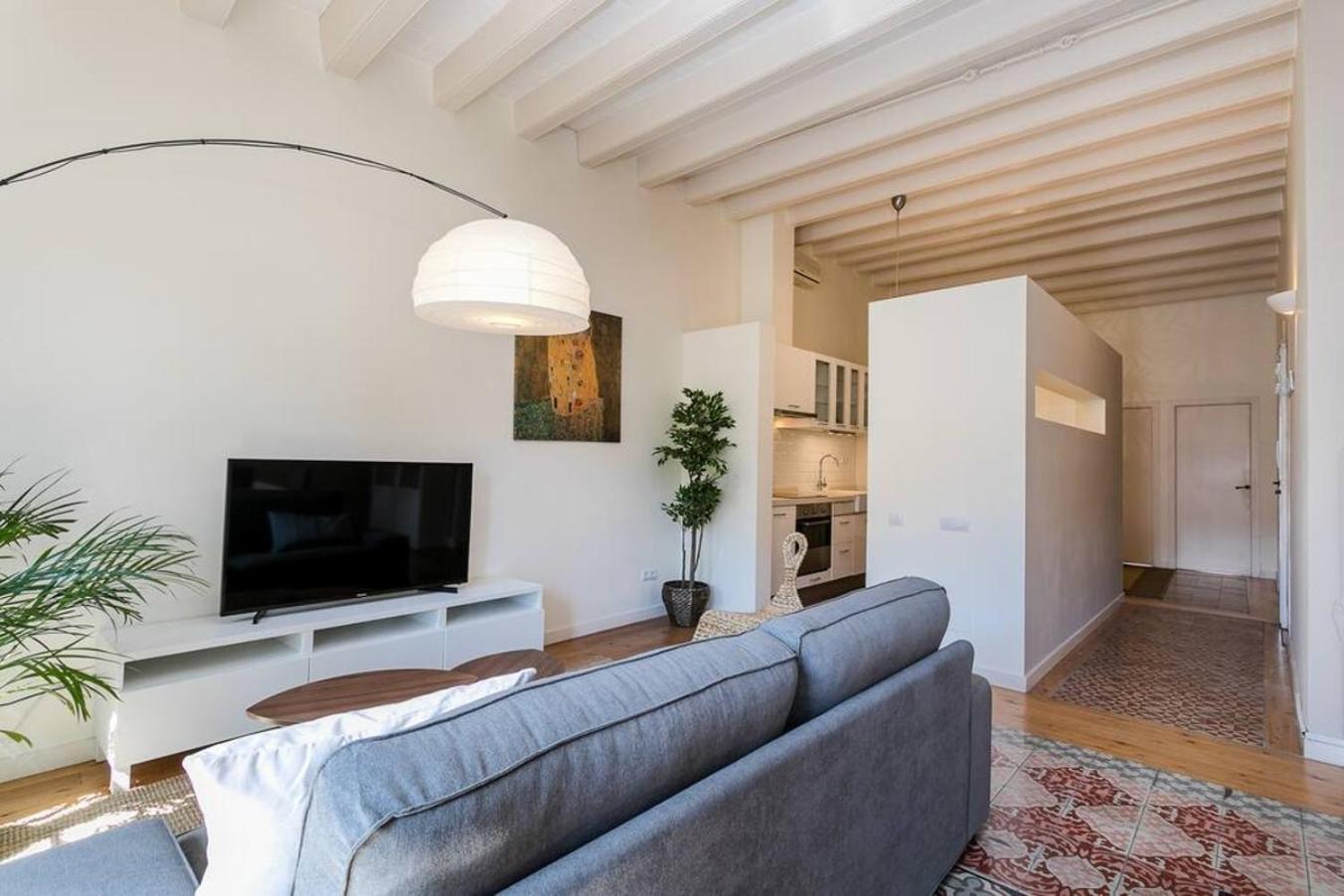 Luxurious With Awesome Rooftop Apartment Barcelona