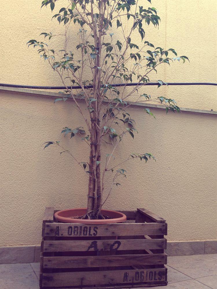 Don Moustache Boutique Hostal