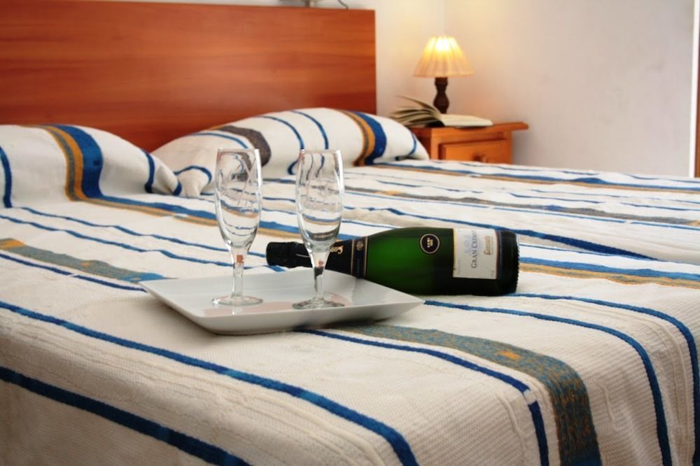 Guest house Dragonflybcn